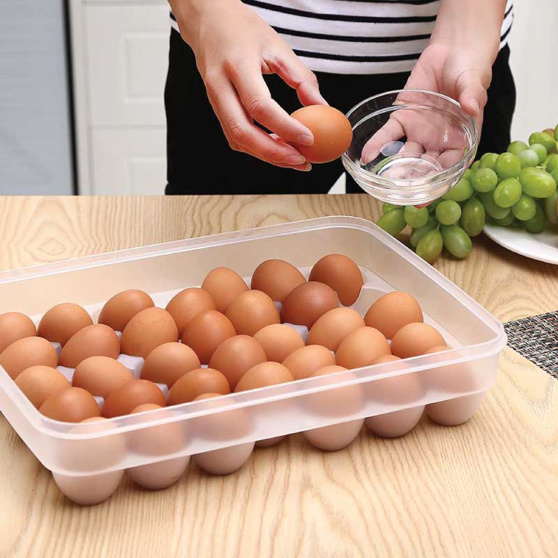 34 Gird Egg Storage Box - Image 9